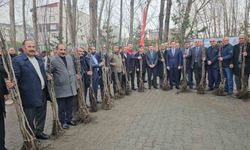 Adilcevaz’da 12 bin aşılı ceviz fidanı dağıtıldı