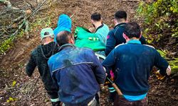 Ağaç keserken yaralanan işçi için seferber oldular