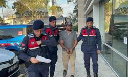 Ağaç kesimi sırasında komşusunun ölümüne sebep olan şahıs tutuklandı