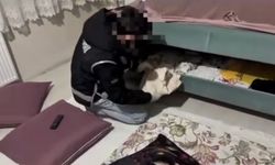 Ağrı’da kaçakçılık operasyonunda milyonluk telefon ve sigara ele geçirildi