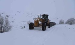 Ağrı'da kar yağışı 423 köy yolunu ulaşıma kapattı
