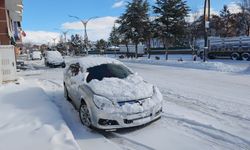 Ahlat'ta kar yağışı: 20 köy yolu ulaşıma kapandı