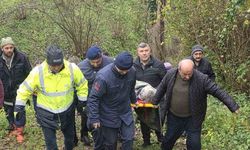 Alzheimer hastası kayıp kadın ormanlık alanda yaralı halde bulundu
