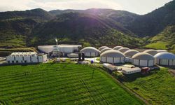 ARF Bio halka arz oluyor