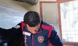 Arsuz’da kuş kurtarma operasyonu