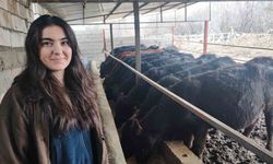 Atama beklerken hayvancılığa başladı