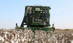 Aydın İl Tarım Müdürlüğü’nden üreticilere ÇKS hatırlatması