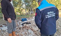 Balıkçıların kurtardığı yavru Akdeniz Foku yetkililere teslim edildi