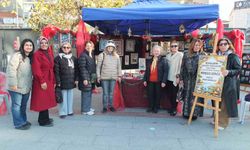 Balıkesirli kadınların yaptğı minyatürler büyük ilgi gördü