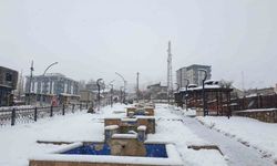 Başkale’de kar kalınlığı 20 santimetreyi geçti