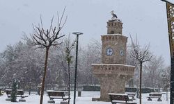 Batman'da kar sevinci: Sokaklar beyaza büründü