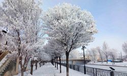 Bayburt’un Arpalı Beldesi güne kar yağışıyla uyandı