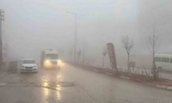 Besni’de yoğun sis etkili oldu