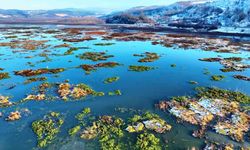 Beyaz gelinliğini giyen Ladik Gölü'nün güzelliği göz kamaştırdı
