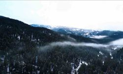 Beyaza bürünen Ilgaz Dağı havadan görüntülendi