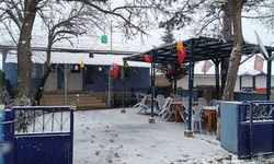 Bilecik'in yüksek kesimlerine mevsimin ilk karı düştü