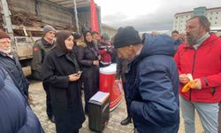 Bilecik'te 143 üreticiye 11 bin fidan hibe edildi