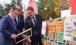 Bilecik’te bu yıl 126 bin 524 kilogram bal üretildi