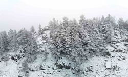 Bolu’nun yükseklerinde kar yağışı etkili oluyor