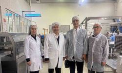 Bursa'da kestanenin geleceği ele alındı