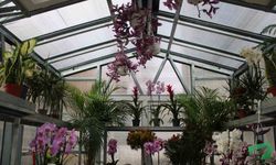 "Çiçek Doktoru" Ersan: "İnsanlar bitkileriyle ilgili yaşamış oldukları sorunları bana iletiyor, ben de onlara çözümler üretiyorum"