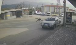 Ciple çarpışan motosikletin sürücüsü metrelerce savruldu