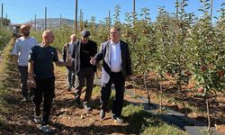 ÇKS başvurularında son gün 31 Aralık