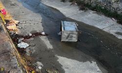 Çöp konteynerleri ilçe kanalına atıldı, belediye hukuki süreç başlatacak