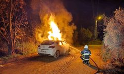 Defne’de otomobil alevlere teslim oldu