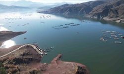 Denizi olmayan Tokat’ın somonları dünya sofralarına ulaşıyor