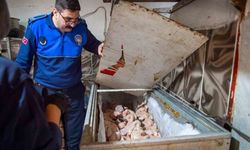 Dönerciden kurtlu salça ve turşu çıktı