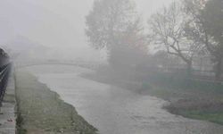 Düzce'de sis etkili oluyor