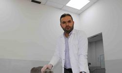 Ekmek kavgası bitti, kedi ve köpekler dost oldu