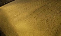 Elazığ'da araçların camları buz tuttu