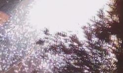 Elektrik kablolarında yaşanan patlama geceyi gündüze çevirdi