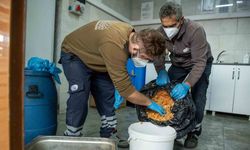 Esenyurt Belediyesi’nden israfı önleyen örnek uygulama