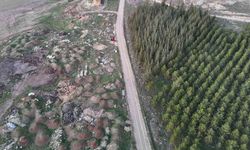 Eskişehir’de tezat görüntü: Bir yanda yeşil ağaçlar, bir yanda çöp yığınları