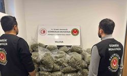 Fransa’dan Yalova’ya gemiyle gelen tırda 37 kilo uyuşturucu ele geçirildi