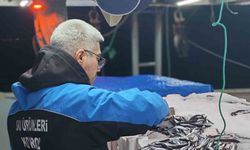 Gelibolu’da 45 kilo balığa el konuldu, 37 bin 770 lira para cezası kesildi