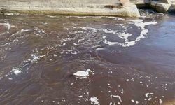 Göksu siyah akmaya başladı, akıllara 3 yıl önceki hadise geldi