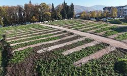 Gölcük'e yeni mezarlık alanları hazırlandı