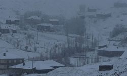 Hakkari’de 43 yerleşim yerinin yolu ulaşıma kapandı