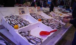 Hamsi zirvedeki yerini istavrite bıraktı