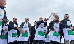 Harmancık’ta yanan 4 bin 256 hektar alan ağaçlandırılıyor