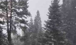 Ilgaz Dağı’nda kar yağışı etkili olmaya başladı