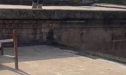 "İşten atıldım" diyerek Balıklıgöl’e atladı