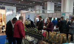İzmir fuarına Düzce damgası