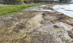 İznik Gölü kuruyor: Cargill’in yer altı sularından yılda 1 milyon metreküpten fazla su çektiği ileri sürülüyor