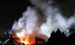 Japonya’yı vuran 7,5 büyüklüğündeki depremde en az 30 kişi yaralandı