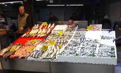 Karadeniz’de hamsi bereketi yaşanıyor